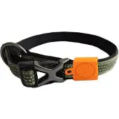 Afp Off Street Dog Collar Olive Green M