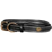 Dyon Fancy Hondenhalsband