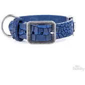My Family Tucson Hondenhalsband