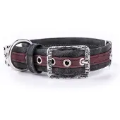 My Family London Hondenhalsband