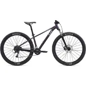 Liv Tempt 3 29´´ Acera Rd-m3020 2025 Mountainbike