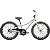 Specialized Riprock Coaster 20´´ Fiets