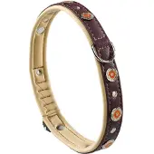 Ferplast Circus 25 Mm 51-49 Cm Hondenhalsband