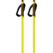 Fischer Storm Gtx M Stokken