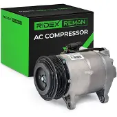RIDEX 447K0439R Aircopomp