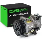 RIDEX 447K0295R Aircopomp