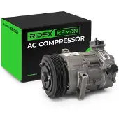 RIDEX 447K1008R Aircopomp