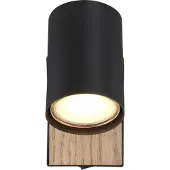 Globo Opbouwspot Robby 1 Lichts