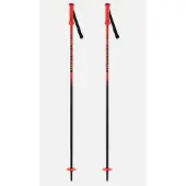 Rossignol Hero Junior Stokken