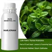 Ancient Wisdom Marjolein Etherische Olie – 0,5 kg – – Aromatherapie & Cosmetica