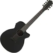 Ibanez Aeg721-Bot Black Out