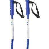 Salomon S/race Sg Junior Stokken