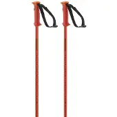 Salomon Polar Stokken