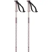 Salomon Polar Stokken