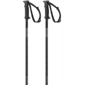 Salomon Polar Stokken