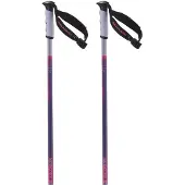 Salomon Arctic S3 Xl Stokken