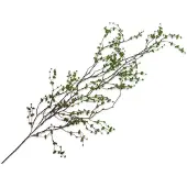 Silk-ka Kunstplant voor Binnen (hang) Vetplant-Succulent Groen 134 cm