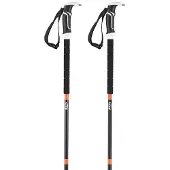 BCA Scepter Stokken