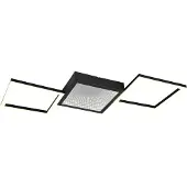 TRIO Design Plafondlamp Gelo Zwart