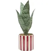 Atmosphera Kunstplant Sansevieria Chéri met keramische pot - Ø12xH38cm - Rood