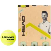 Head Team Tennis Tennis Balls Transparant 12 Balls