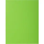 Exacompta ROCK''S 210 Pak van 100 dossiermappen 210g/m2 24x32cm voor A4. - Groen - 210013E