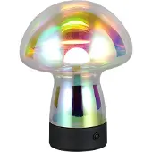 RL LIVE YOUR LIGHT REALITY DOOLEY - Tafellamp - Transparant iriserend - incl. 1x SMD 1,5 W - 4-stappen TOUCH - USB-aansluiting - Oplaadbaar - Snoerloos