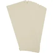 Exacompta 12x FOREVER Pak van 100 horizontale tabstroken met perforatie 180g - 105x240mm - Ivoor - 13475B