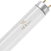 Schiefer G13 T8 TL-Buis | 18W 6500K 1250lm 865 | 604mm