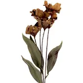 Clayre & Eef Kunstbloem 8x5x60 cm Bruin Kunststof