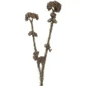 Clayre & Eef Kunstbloem 6x6x58 cm Grijs Kunststof