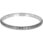 Ixxxi Vulring Karma Zilver