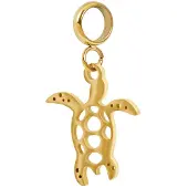 Ixxxi Connect Bedel Turtle | Goud