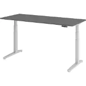 Hammerbacher XBHM 19 SS Eik