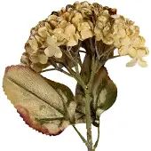 Clayre & Eef Kunstbloem 15x15x47 cm Beige Kunststof