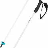 Head Skistok Worldcup Rebels Carbon White-135 cm