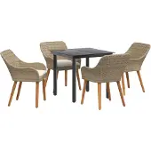 vidaXL Tuinset, 5-delig, beige, polyrotan