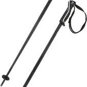 Head Skistok Frontside Carbon Black White-105 cm