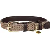 Kentucky Dogwear Nylon Hondenhalsband