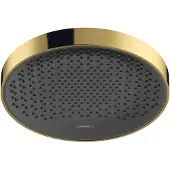 Hansgrohe rainfinity powderrain hoofddouche 250 1jet ecosmart, polished gold optic