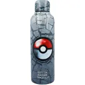 Stor Pokemon Bottle 515ml Blauw Kinderen