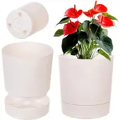 Kadax Aura 350 gerecyclede plantenbak met standaard - crème