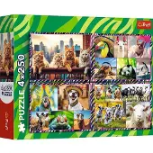 Trefl 13313, 250 stuk(s), Dieren, 7 jaar