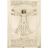 Bluebird Puzzle Leonardo Da Vinci - The Vitruvian Man, 1490 (1000) - Legpuzzel