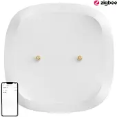 Sonoff Intelligente Zigbee Overstromings-/Waterleksensor Snzb-05P (+Batterij)