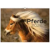 Heel Paarden Kalender 2026 Groot