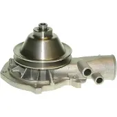 Saleri SIL PA575P Waterpomp