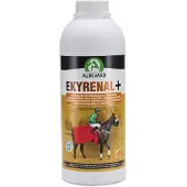 Audevard Ekyrenal +