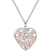 Rafaela Donata Ketting goud / zilver