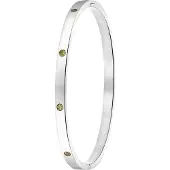 Lucardi Armband zilver